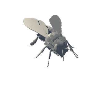 Bee_Fly Variant